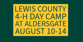 camp 2026 banner