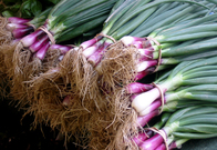 red onions on display at an NYC farmers' market
