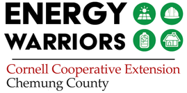 Energy Warriors Logo