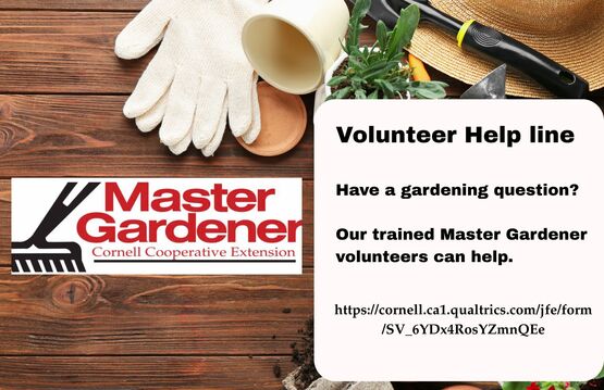 Master Gardener helpline 