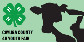 profile of cow, pig and rabbit against green background, text stating 2024 Cayuga County 4-H fair