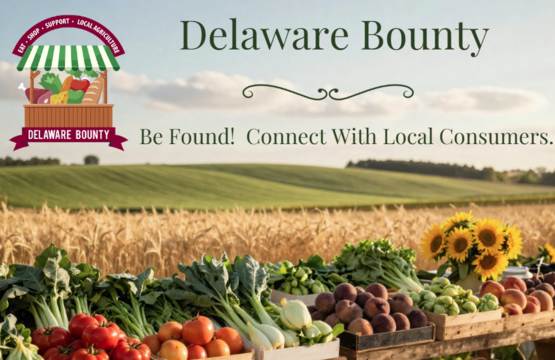 Delaware Bounty 2026