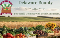 Delaware Bounty 2026