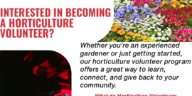 Horticulture Volunteer