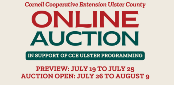 CCE Ulster Online Auction graphic