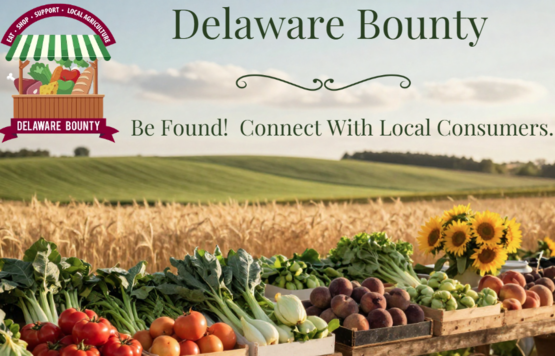 Delaware Bounty 2026