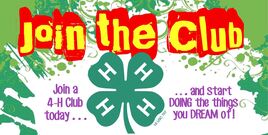 4-H recruitment join the club
