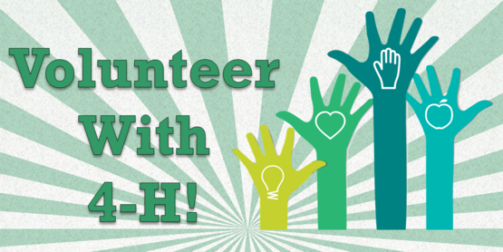 Volunteer With 4-H!
