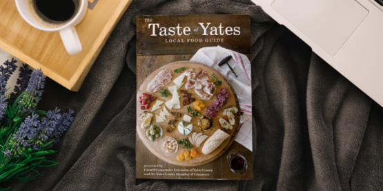 Taste of Yates 2024 Update