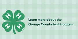 website banner