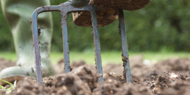 digging in the garden with a pitchfork