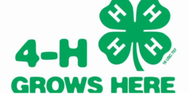 4-H grows here website