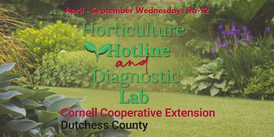 Horticulture and Lab Header