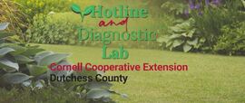Horticulture and Lab Header