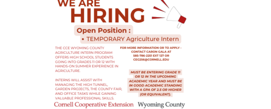 TEMP AG INTERN