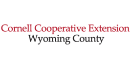 CCE Wyo logo 2:1 ratio
