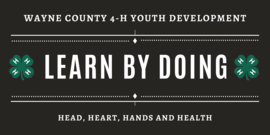 head heart hands health