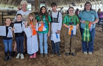 Fair Rabbit Show