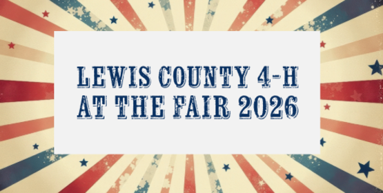 fair banner 2 2026