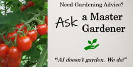 Ask a Master Gardener 