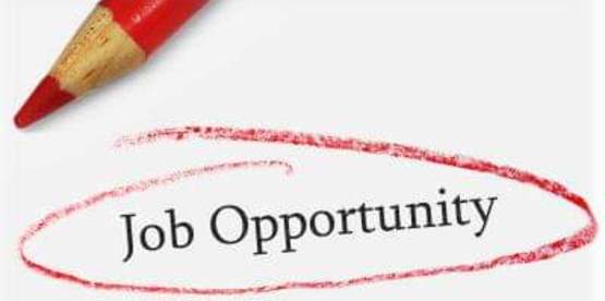 Job Opportunity