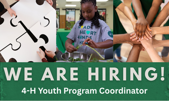 4-H position