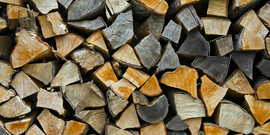 "Firewood Stacked Up to Dry Showing Annual Rings" 