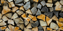 "Firewood Stacked Up to Dry Showing Annual Rings" 