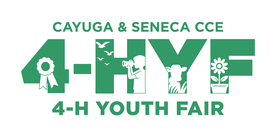 Fair Logo