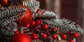 Christmas Trees are beautiful!