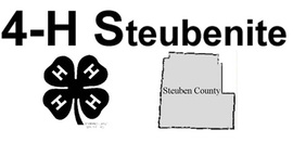 Steubenite logo