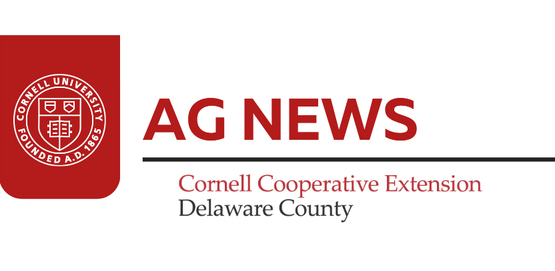 banner for Ag News for Delaware County, with white Cornell University seal on red background