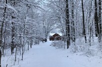snowy forest with house