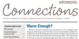 Connections - Issue 9.1 – January/February/March Issue 2026