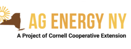 Ag energy in NY 