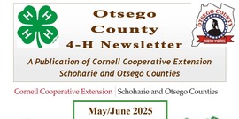 Power of YOUth Newsletter - May/June 2025