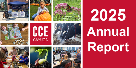 graphic comprised of photos from 2025 to illustrate banner for 2025 Annual Report