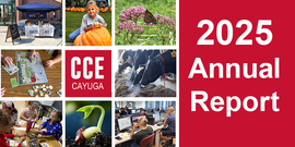 graphic comprised of photos from 2025 to illustrate banner for 2025 Annual Report