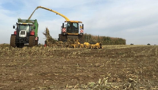 Tractor corn silage