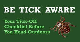 tick flyer be safe