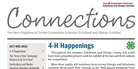 Connections - Issue 9.3 – October/November/December Issue 2026