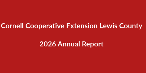 2026 annual report