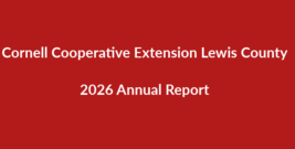 2026 annual report