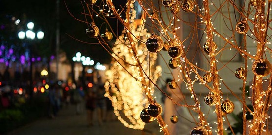 Christmas trees in LED lights, Ho Chi Minh City; holiday lights