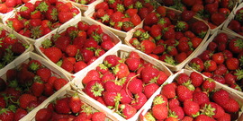 strawberries at farmers' market