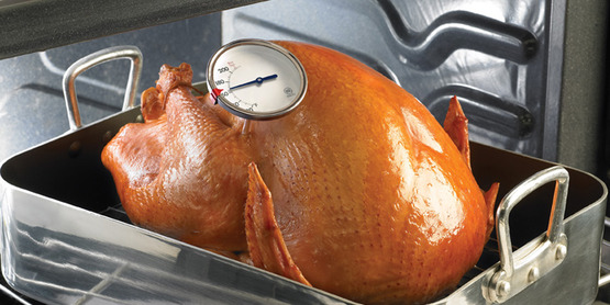 a roasted turkey with a food thermometer