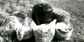 Add extra leaves to your compost to insulate, or create a windbreak around the bin.