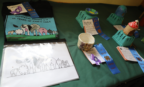 Sculptures and a t-shirt design displayed with other crafts.