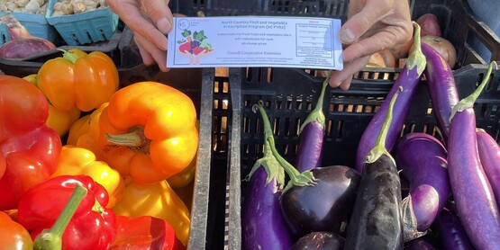 FVRx voucher at the farmers market