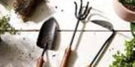 Essential Garden Tools and Tactics for Single Households via Zoom